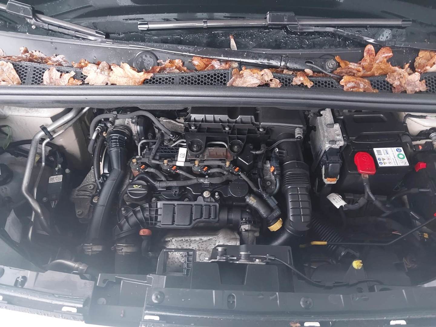 Peugeot Partner Pro 1.5 Blue-HDi